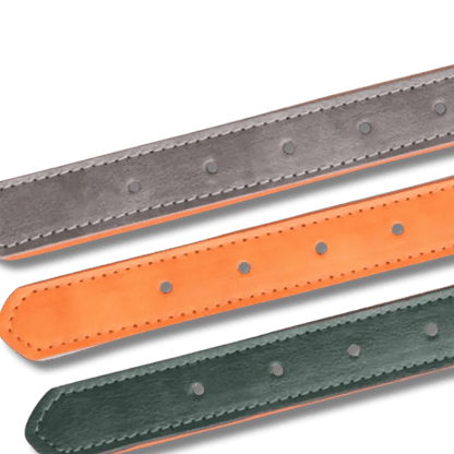 Gewatteerde Leren Huisdierhalsband - Pet Buddy