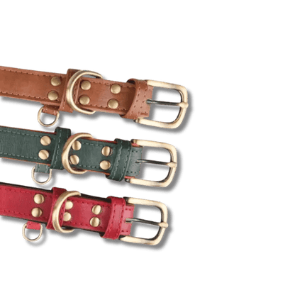 Gewatteerde Leren Huisdierhalsband - Pet Buddy