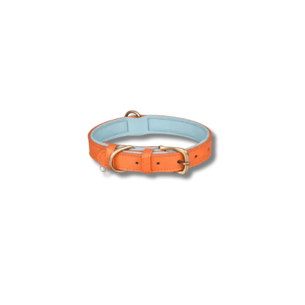 Gewatteerde Leren Huisdierhalsband - Pet Buddy