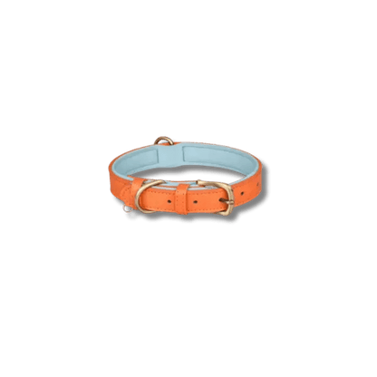 Gewatteerde Leren Huisdierhalsband - Pet Buddy