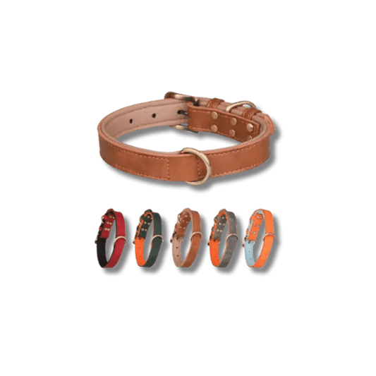 Gewatteerde Leren Huisdierhalsband - Pet Buddy