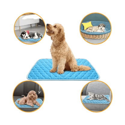 IJs - Zijde Koelmat voor Huisdieren - Pet Buddy