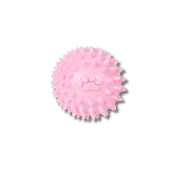 Interactieve Rubber Kauwspeelbal - Pet Buddy
