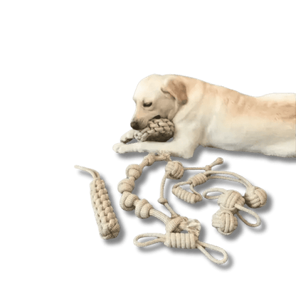 KnoopSterk Kauwtoy - Pet Buddy