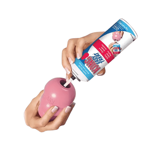 KONG Classic Puppy - Pet Buddy