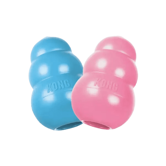 KONG Classic Puppy - Pet Buddy