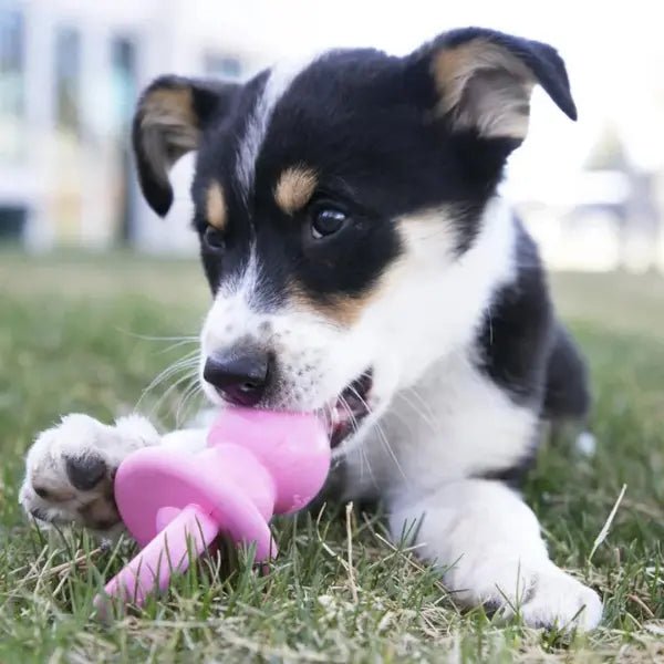KONG Classic Puppy Binkie – Maat S/M - Pet Buddy