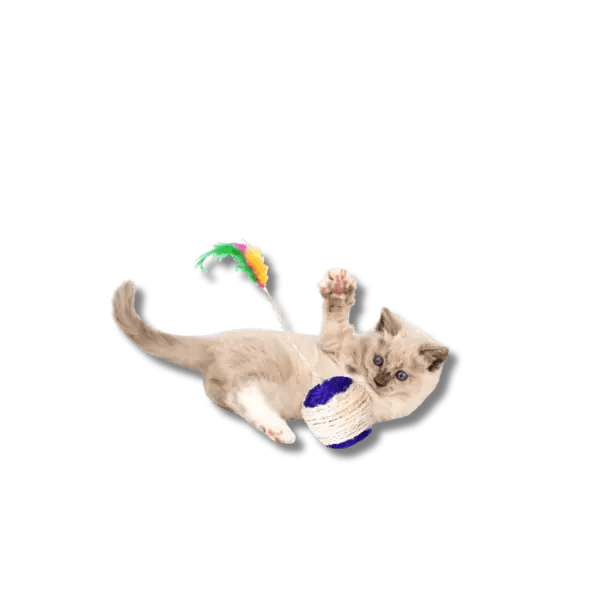 Krabbal met Veer - Pet Buddy