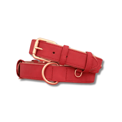 LuxeSoft Halsband & Riem Set - Pet Buddy