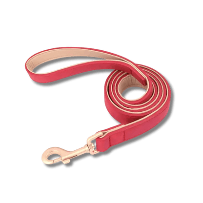 LuxeSoft Halsband & Riem Set - Pet Buddy