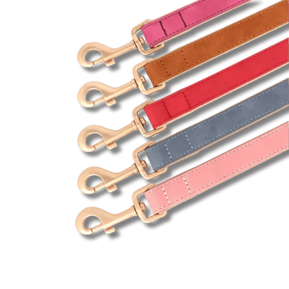 LuxeSoft Halsband & Riem Set - Pet Buddy