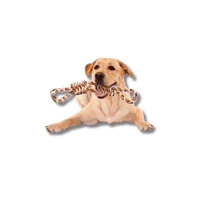 Onbreekbaar Katoentouw - Pet Buddy