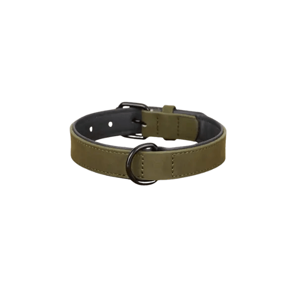 PU Leren Honden halsband - Pet Buddy