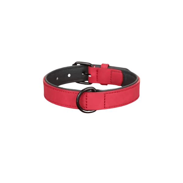 PU Leren Honden halsband - Pet Buddy