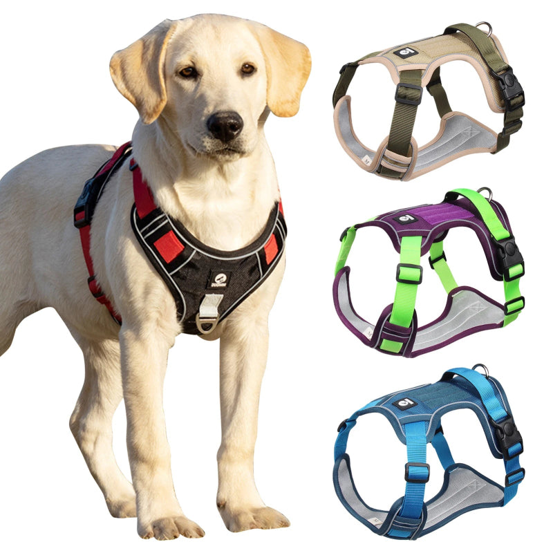 Reflecterend Hondenharnas – Sterk & Comfortabel voor Grote Honden - Pet Buddy