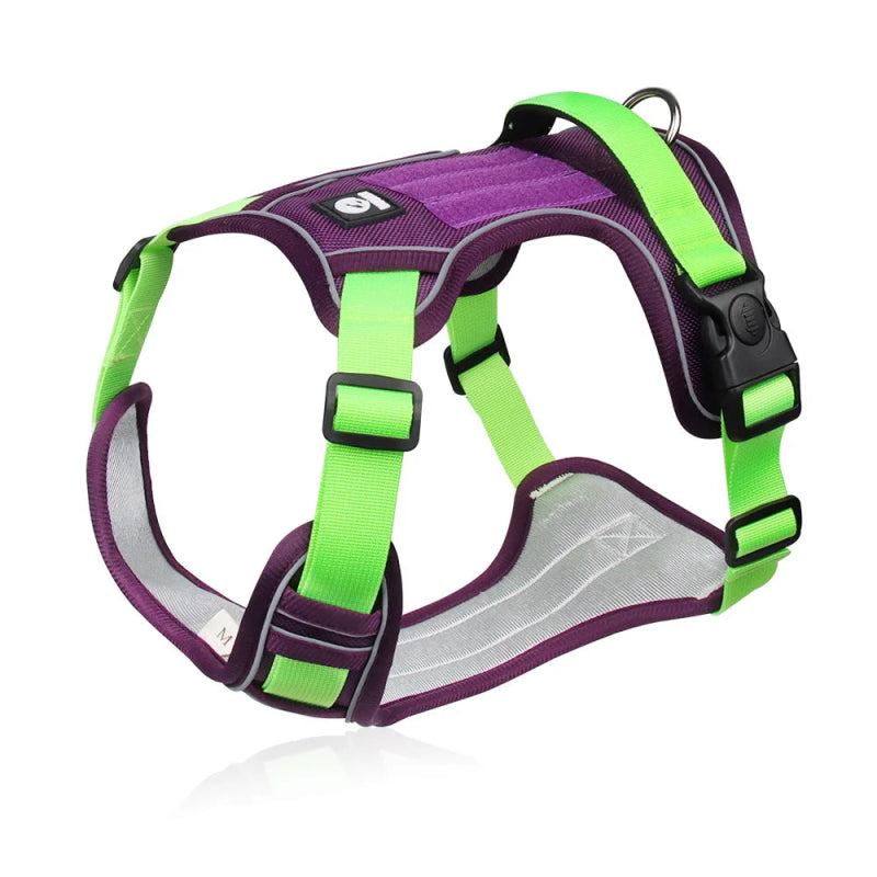 Reflecterend Hondenharnas – Sterk & Comfortabel voor Grote Honden - Pet Buddy