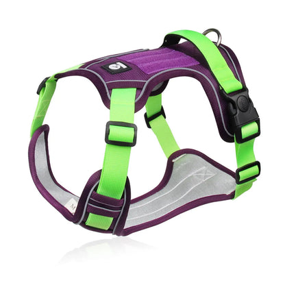 Reflecterend Hondenharnas – Sterk & Comfortabel voor Grote Honden - Pet Buddy