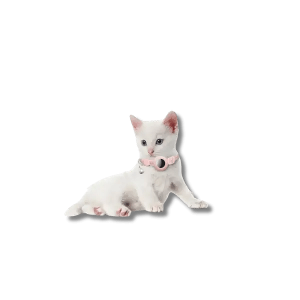 Reflecterende AirTag Kattenhalsband - Pet Buddy