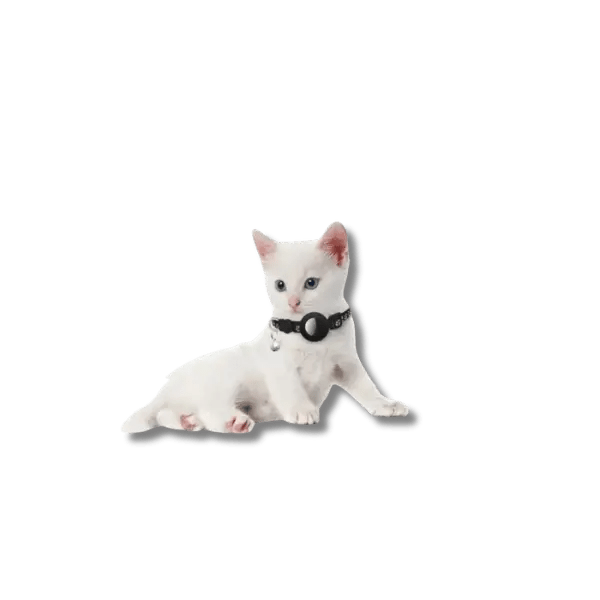 Reflecterende AirTag Kattenhalsband - Pet Buddy