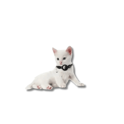 Reflecterende AirTag Kattenhalsband - Pet Buddy