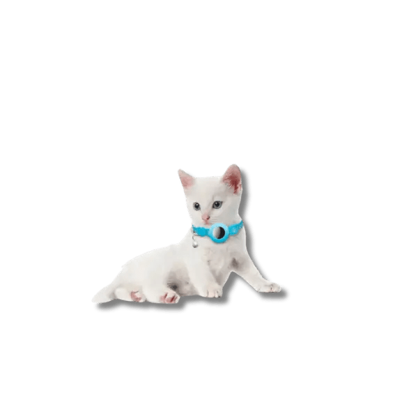 Reflecterende AirTag Kattenhalsband - Pet Buddy