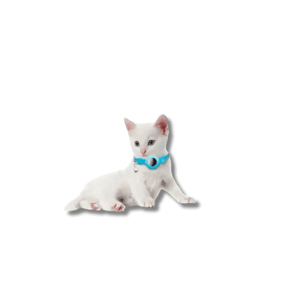 Reflecterende AirTag Kattenhalsband - Pet Buddy