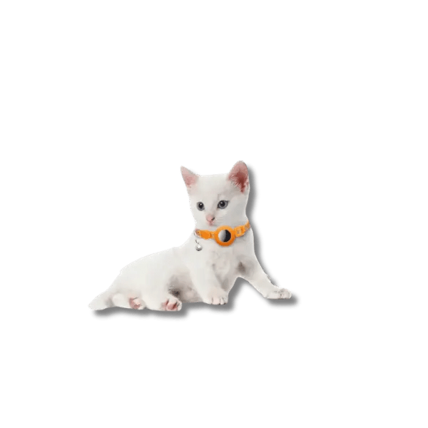 Reflecterende AirTag Kattenhalsband - Pet Buddy