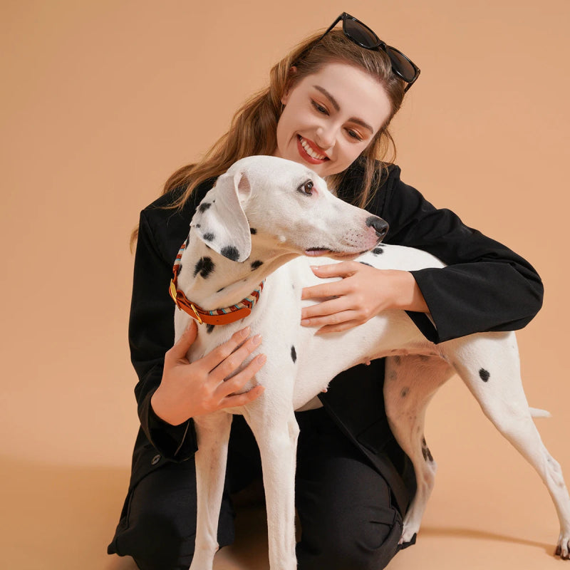 Reflecterende Sliphalsband Hond – Veilig & Comfortabel - Pet Buddy