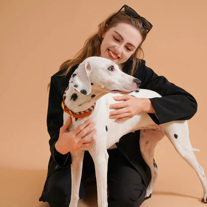 Reflecterende Sliphalsband Hond – Veilig & Comfortabel - Pet Buddy