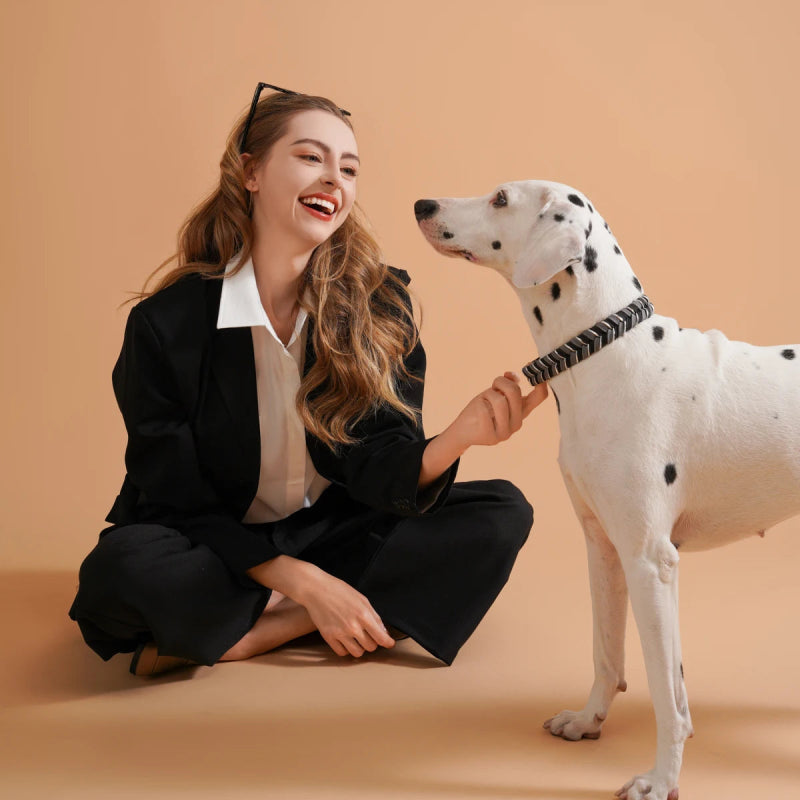 Reflecterende Sliphalsband Hond – Veilig & Comfortabel - Pet Buddy