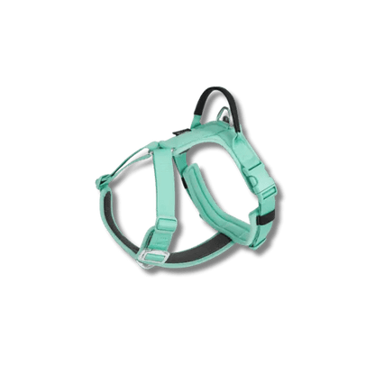 Reflectie No - Pull Harnas - Pet Buddy