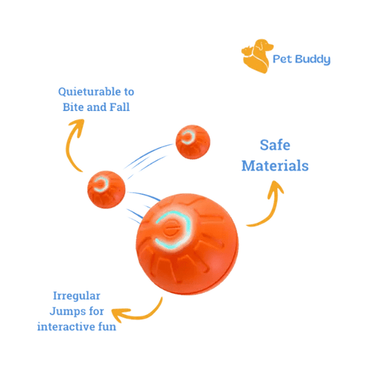 Slimme Hond & Kat Speelbal - Pet Buddy