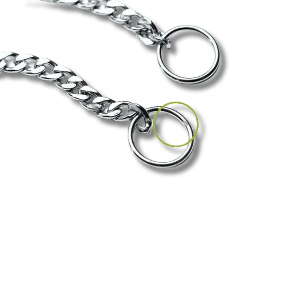 Stalen Slipketting Halsband - Pet Buddy