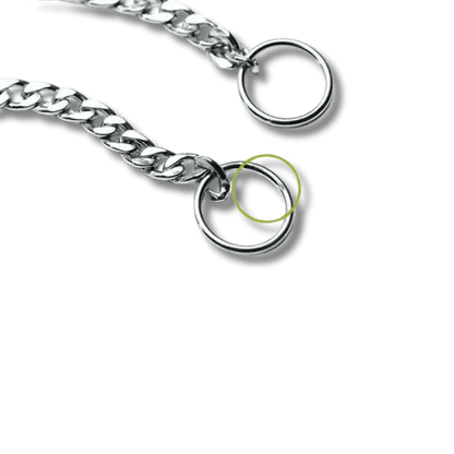 Stalen Slipketting Halsband - Pet Buddy