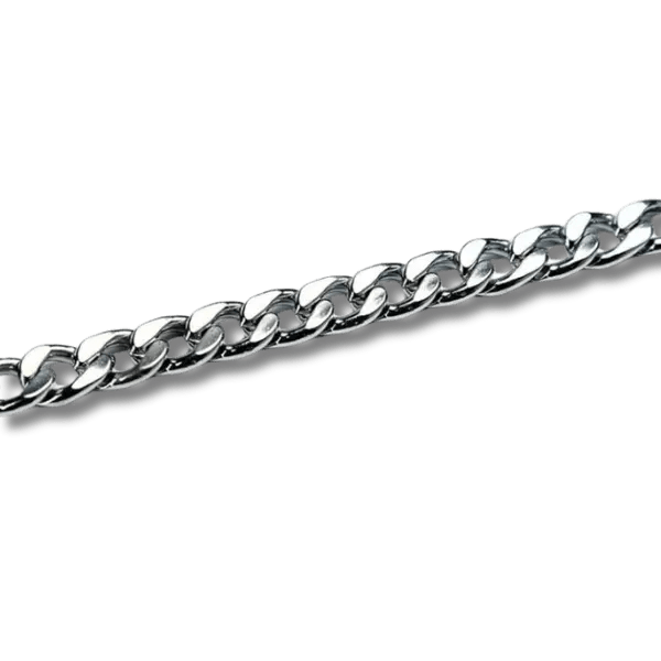 Stalen Slipketting Halsband - Pet Buddy