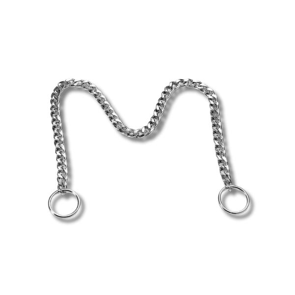 Stalen Slipketting Halsband - Pet Buddy