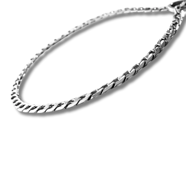 Stalen Slipketting Halsband - Pet Buddy