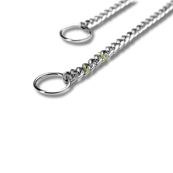 Stalen Slipketting Halsband - Pet Buddy