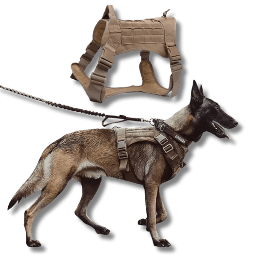 Tactische Honden Harnas Set - Pet Buddy