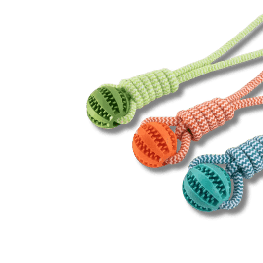 TreatRope Bal - Pet Buddy