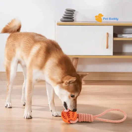 TreatRope Bal - Pet Buddy